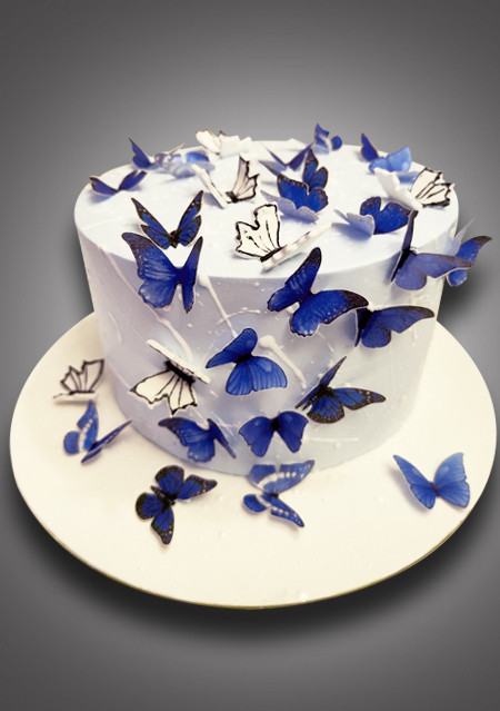 Springfield Butterfly Cake